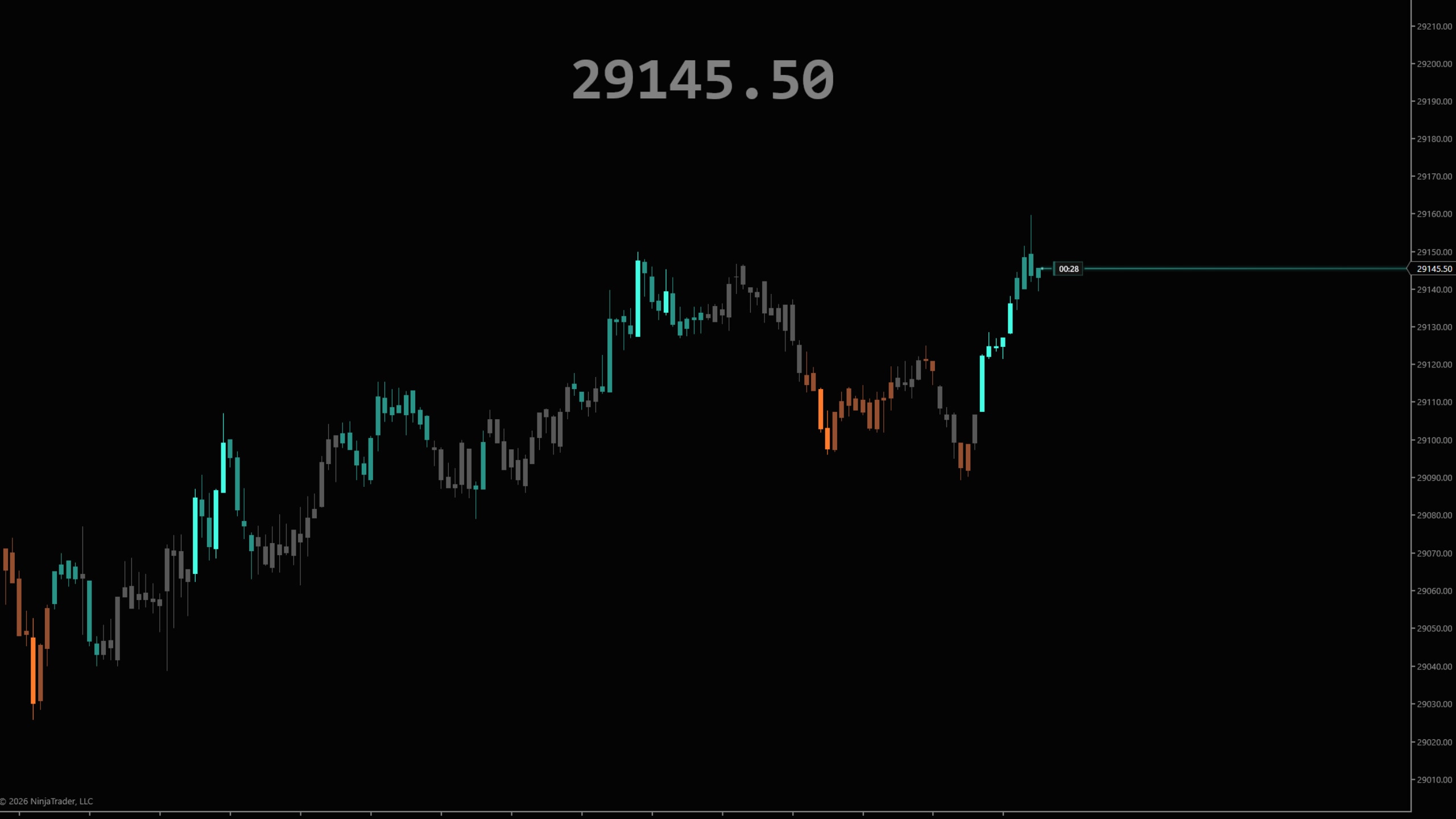 DS Chart Price on a NinjaTrader 8 chart — Mono: the last price, 29145.50, large and gray at the top center of a dark chart.
