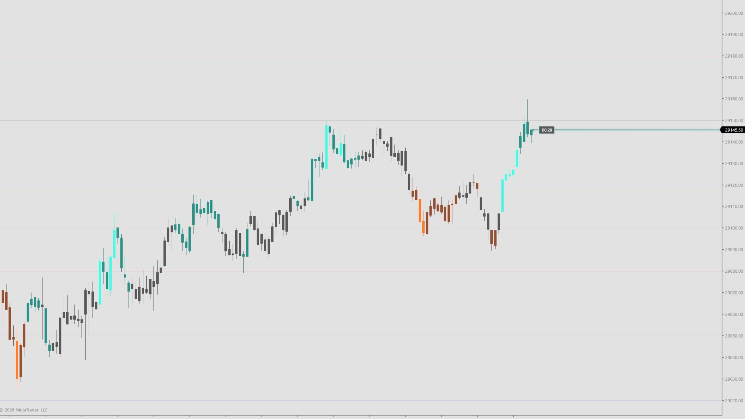DS 258 on a NinjaTrader 8 chart — On a light chart: a faint line at each 00, 20, 50 and 80 from 29020 to 29200, behind price.