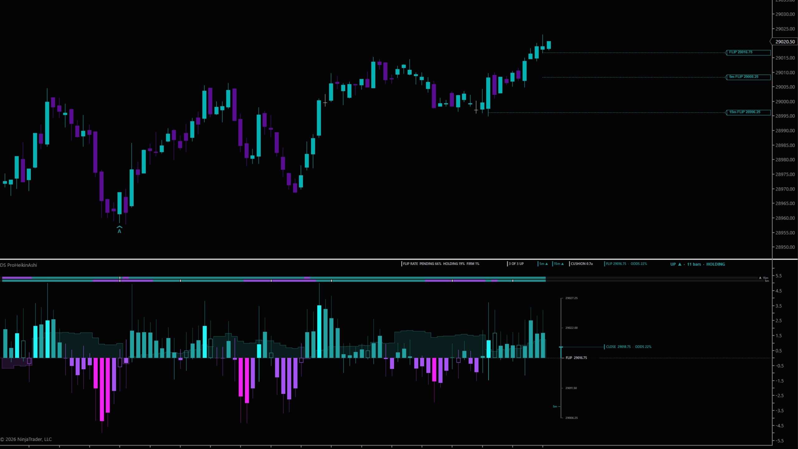 DS ProHeikinAshi on a NinjaTrader 8 chart — All three directions up: the header reads 3 OF 3 UP and UP ▲ · 11 bars · HOLDING, with the chart's FLIP at 29016.75 and the 5m and 15m flip levels drawn on price as dotted rails.