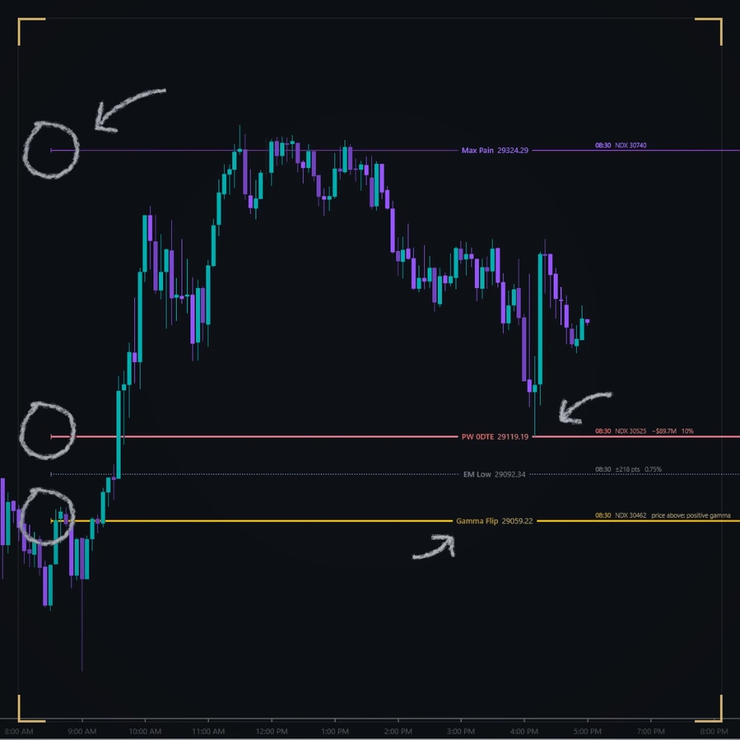 DS GEX on a dark NinjaTrader chart: price turning at the PW 0DTE level 29200.16, the EM Low 29173.24 and the Gamma Flip 29142.95, each label circled by hand.