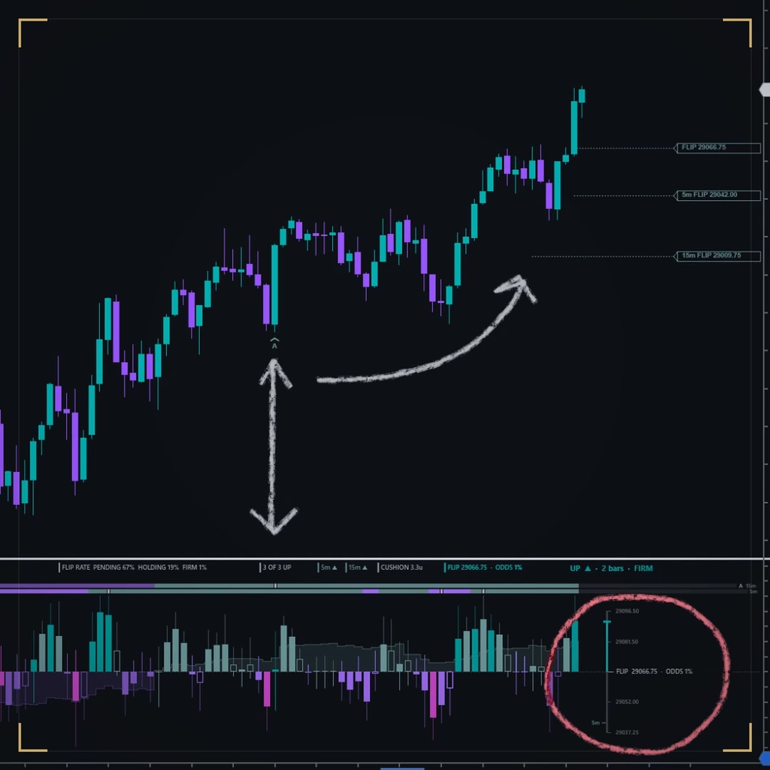 DS ProHeikinAshi on a dark NinjaTrader chart: an uptrend with its FLIP levels at the right edge and the Heikin-Ashi panel below, where FLIP 29066.75 with its odds is circled by hand.