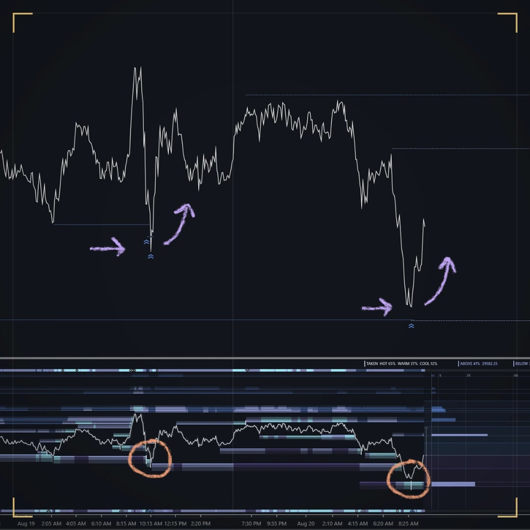 DS ProLiquidityHunter on a dark NinjaTrader chart: price sweeping two resting pools and turning, with the liquidity map panel below; the sweeps are circled and marked by hand.