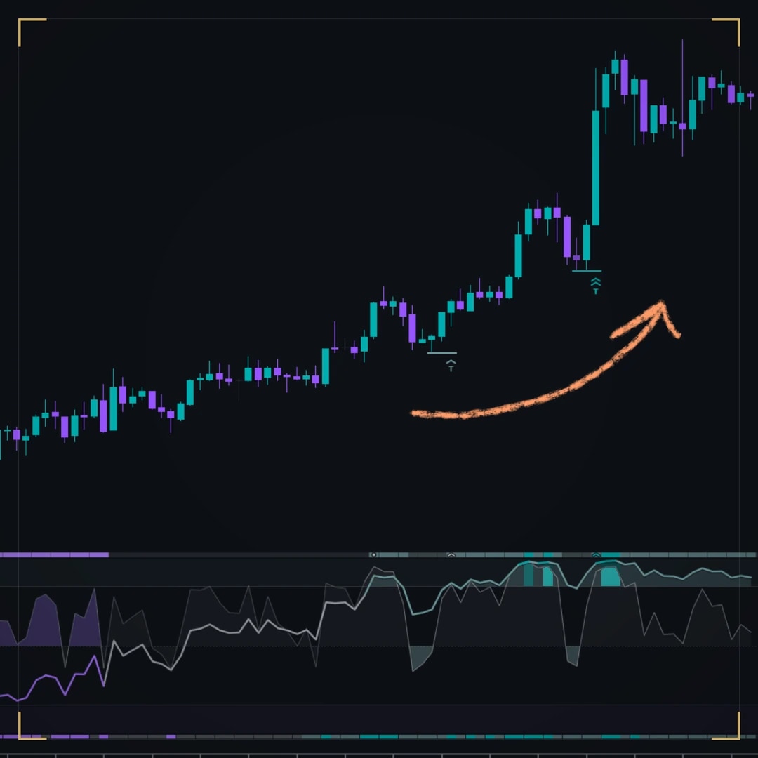 DS ProTrendRange on a dark NinjaTrader chart: an uptrend with the indicator's marks under two pullbacks and its trend panel below; a hand-drawn arrow follows the trend.